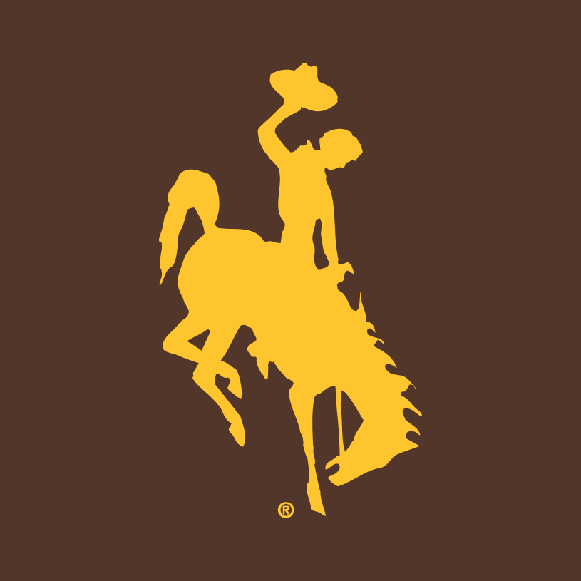 Wyoming Cowboys 2006-Pres Alternate Logo v2 iron on transfers for fabric